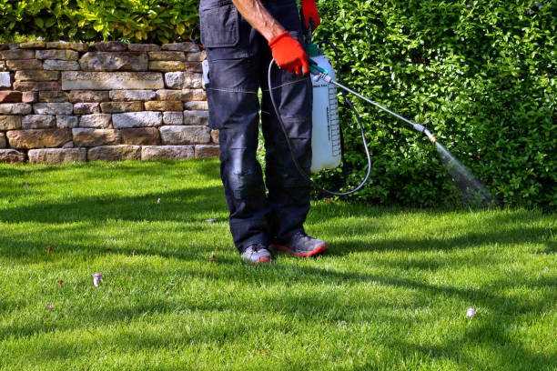 Professional Pest Control in Port Washington, WI